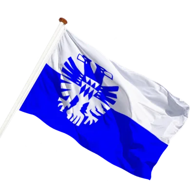transparent background