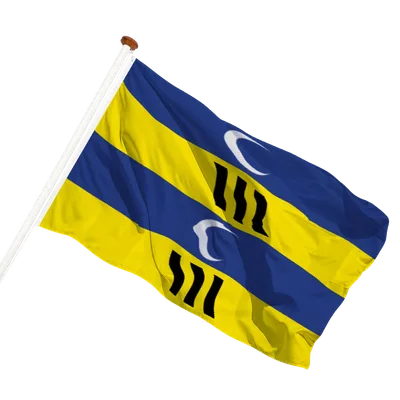 transparent background