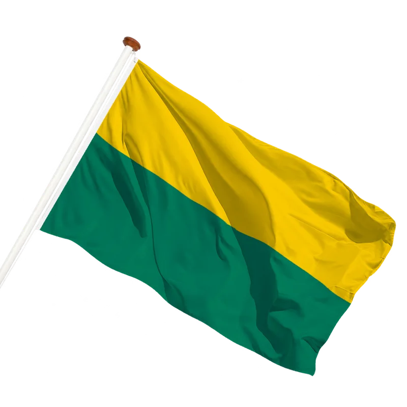 Flag of Den Haag