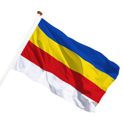 transparent background