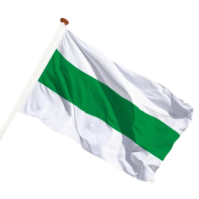 transparent background