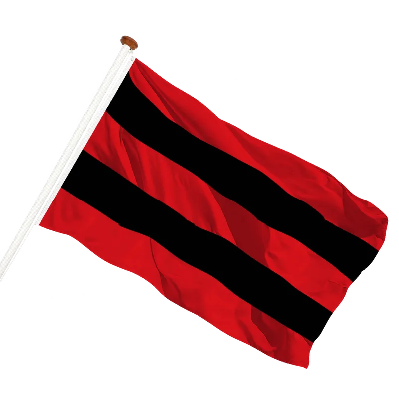 Flag of Zierikzee