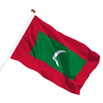 transparent background