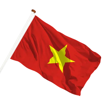 transparent background