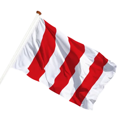 transparent background