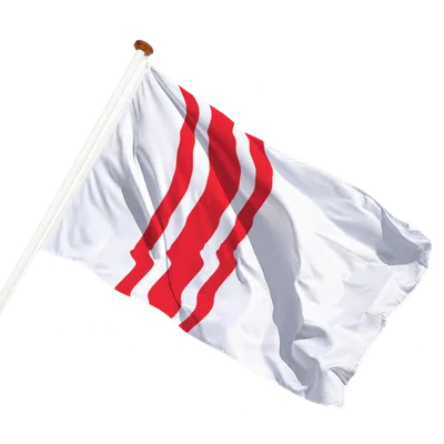 transparent background